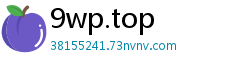 9wp.top
